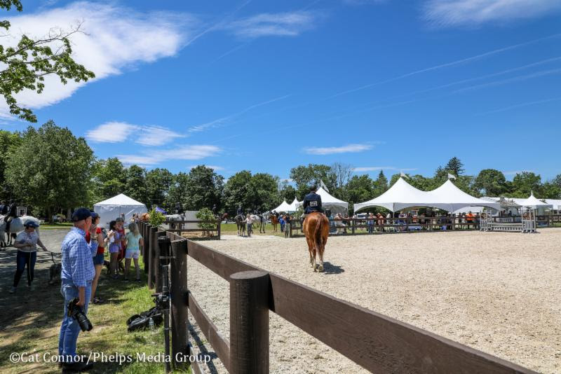 The 88th Annual Ox Ridge Charity Horse Show Presented by the Lindsay Maxwell Charitable Fund received raved reviews from exhibitors, spectators, sponsors, and members of the community after a successful week of competition while giving back to two local charities.