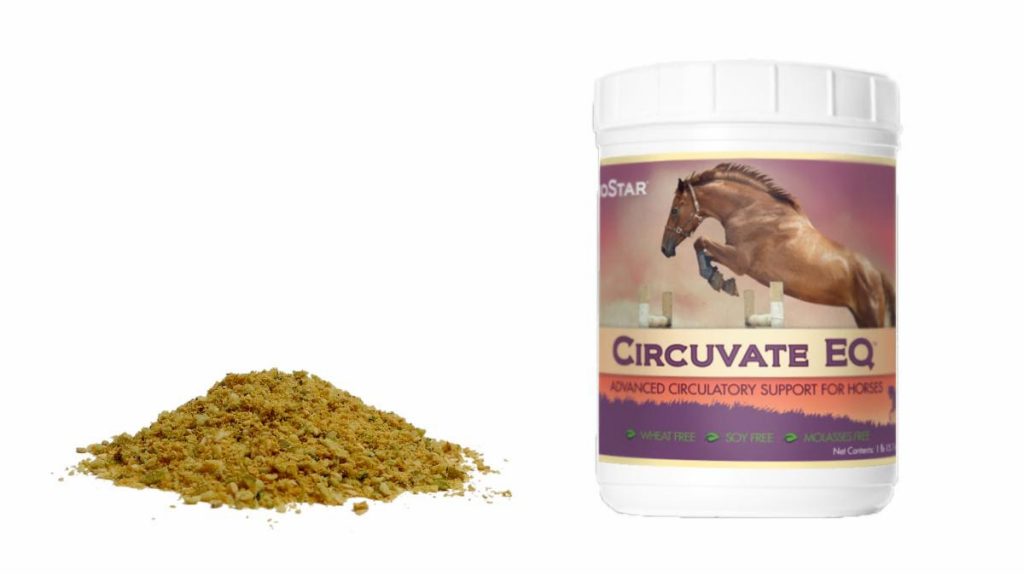 One of many products offered by BioStar US, Circuvate EQ is a circulatory supplement for recovery for performance horses that includes support for metabolic imbalances, assisting in the healing process of connective tissues and helping to reduce stiffness in joints and inflammation.