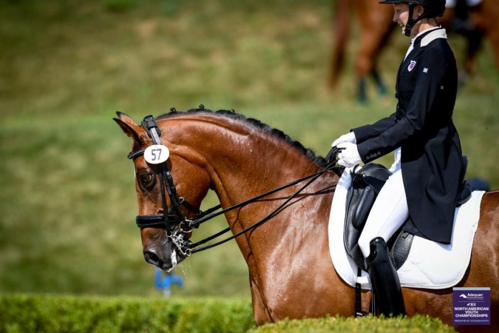 GLEF will host both show jumping and dressage during the 2020 NAYC.