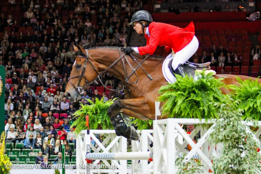 American Beezie Madden won the 2013 FEI World Cup Finals aboard Simon in a Voltaire Design saddle.